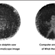 Illustration for article titled Unprecedented Image Shows a Dolphins Echolocated Impression of a Submerged Human